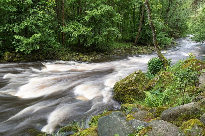 Buchberger Leite mountain stream gorve