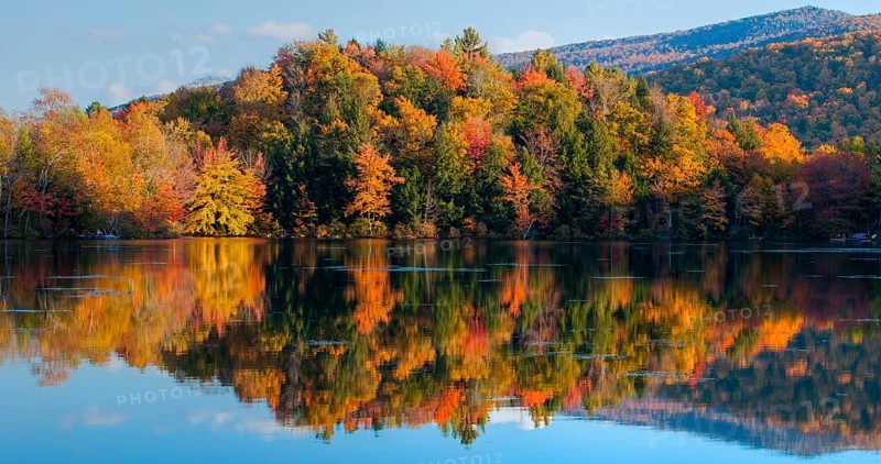 Autumnal trees with reflection in lake