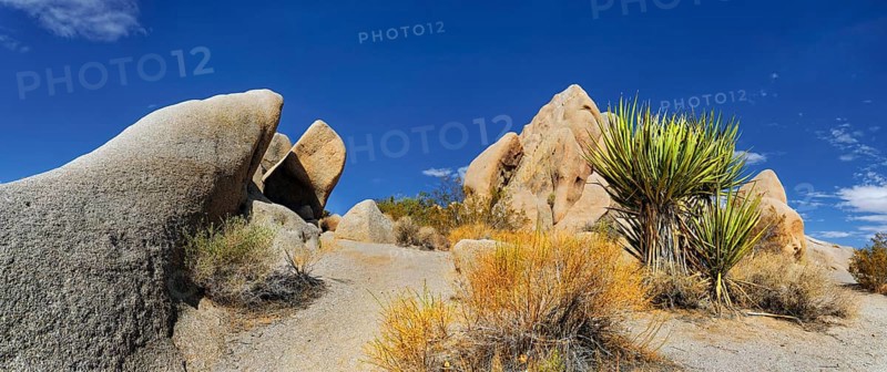Huge granite rocks of Split Rocks and green Mojave Yucca or Spanish Dagger (Yucca schidigera)