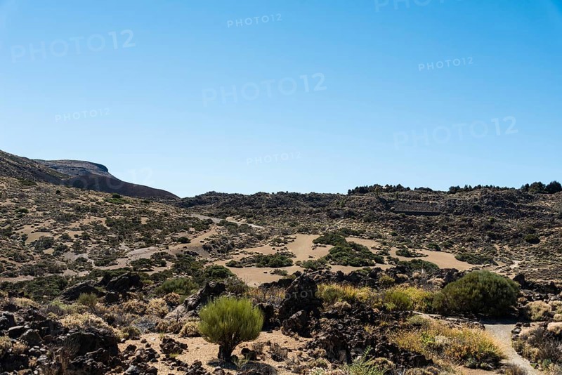 Volcanic landscape