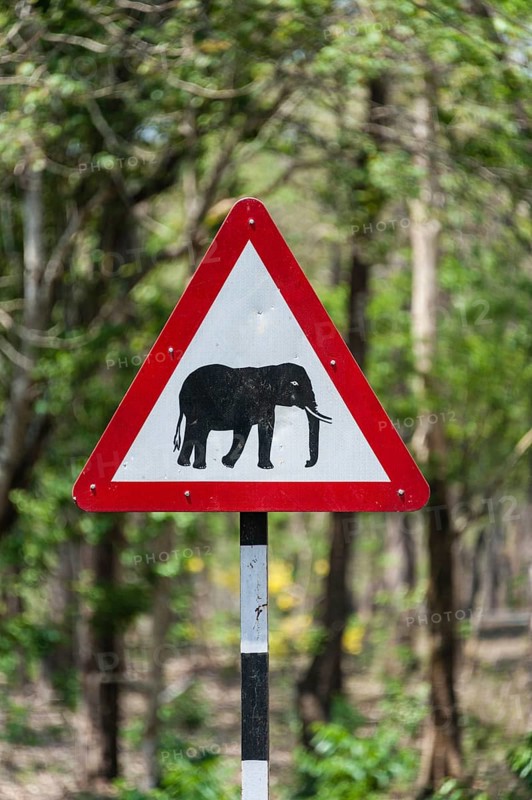 Traffic signs