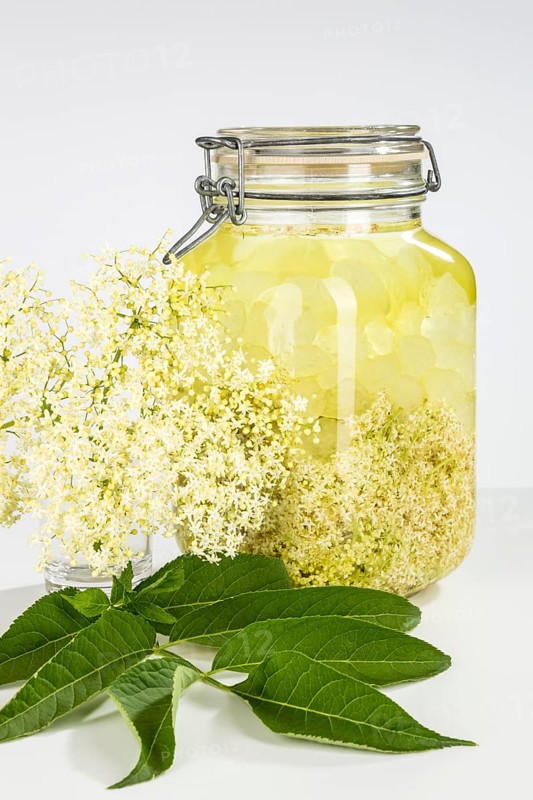 Preparation of elderflower liqueur