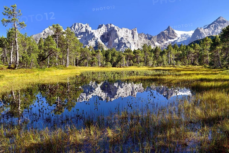 Chaltenbrunnen bog with the Engelhornern mountains and Rosenlaui Glacier