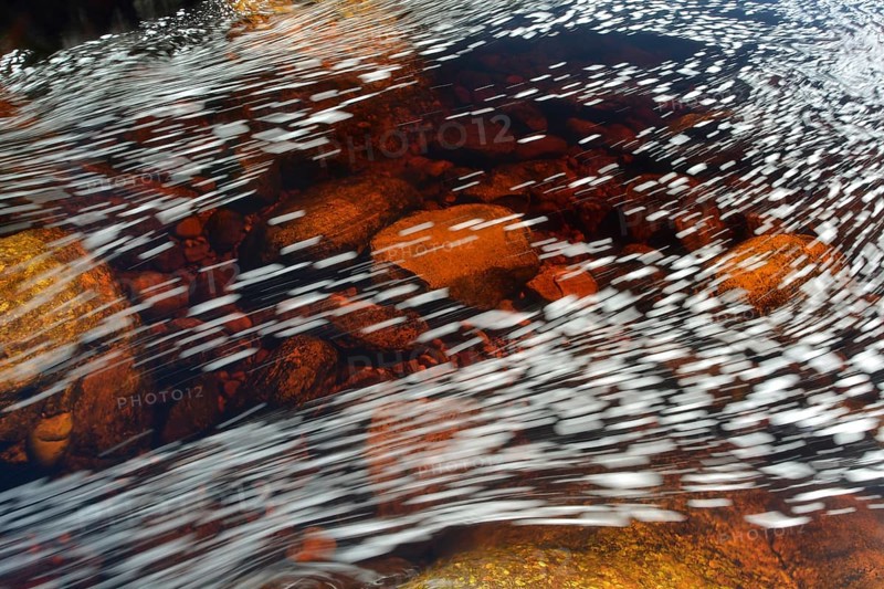 Typical foam structures on the black river water