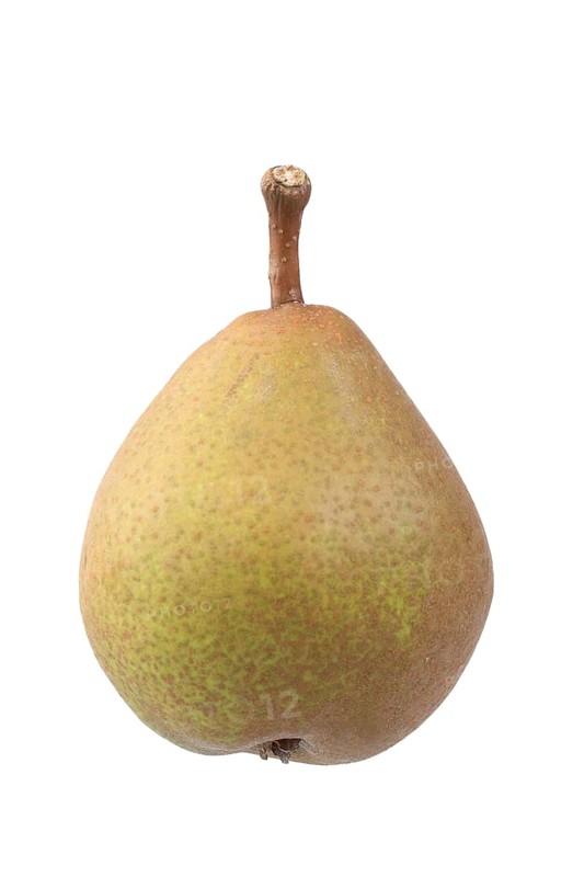 Pear
