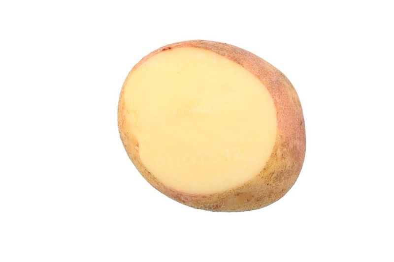 Potato