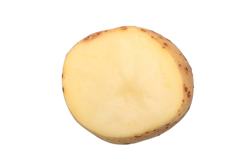 Potato