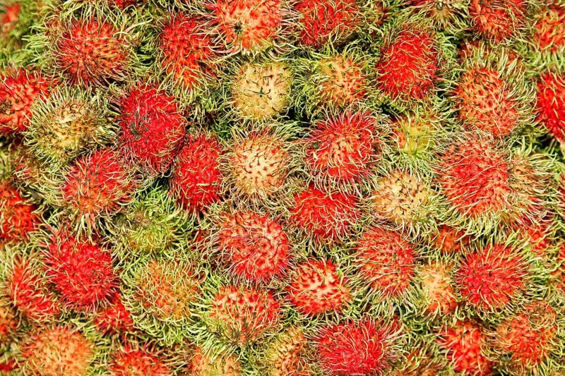 Rambutans (Nephelium lappaceum) for sale on a market