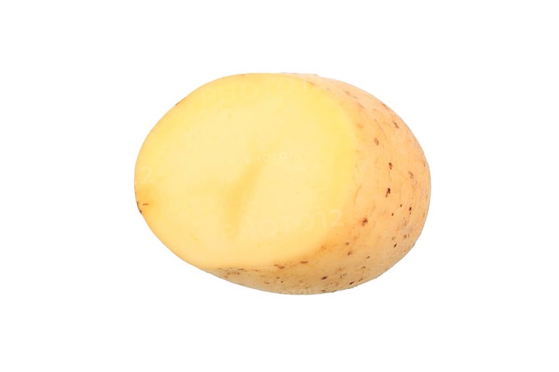 Potato