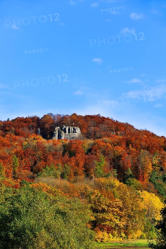Autumn coloured trees on Mt Glatzenstein