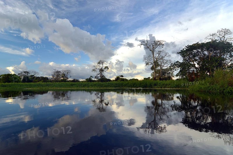 Dusk at a lake-like widened part of the Amazon or Rio Solimoes