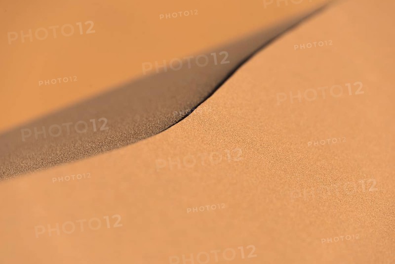 Ridge of a dune