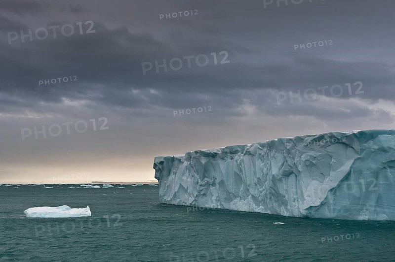 Brasvellbreen