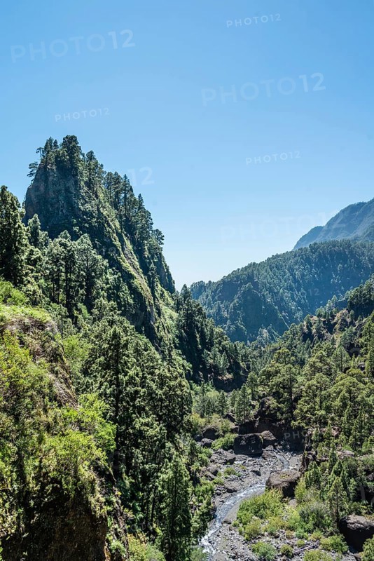 Ravine with creek in the Caldera de Taburiente National Park