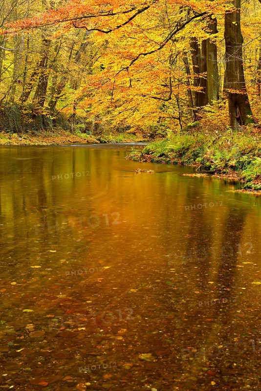 Schwarza River in the autumn