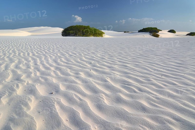 Desert landscape