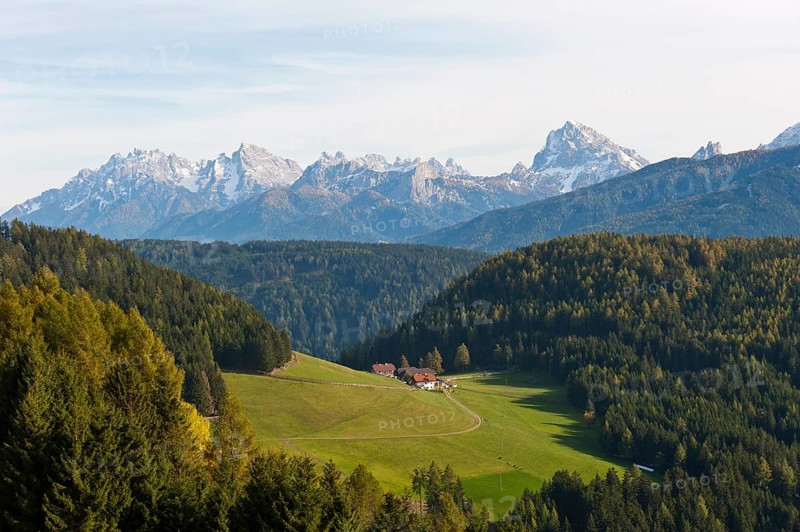 Small alpine pasture in a wooded landscape