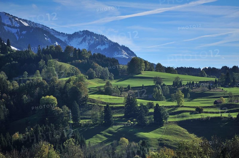 Allgau countryside