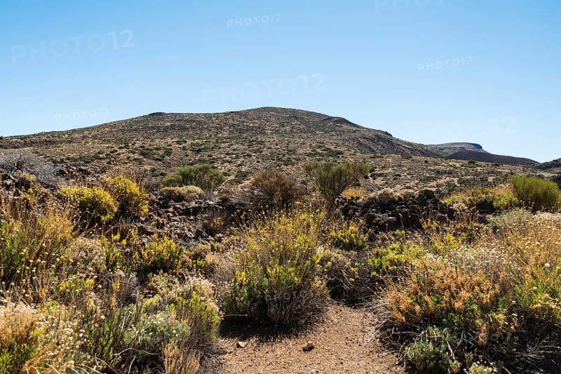 Volcanic landscape