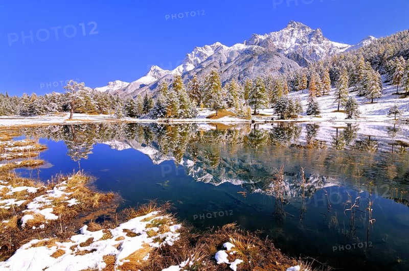 Schwarzsee or Lai Nair with snow-covered larch forest