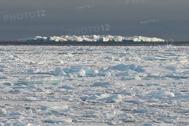 Iceberg