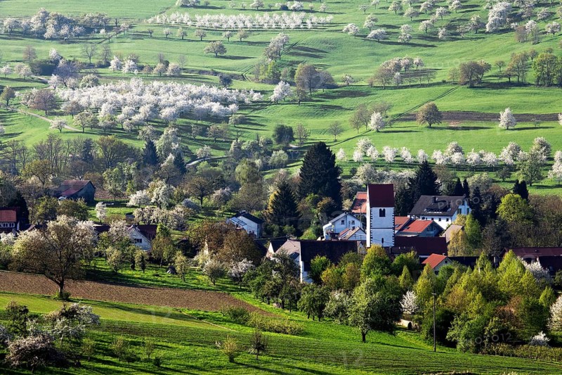 Townscape