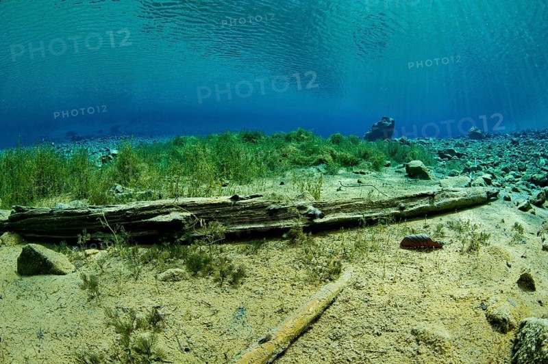 Underwater view