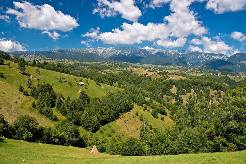 Mountain landscape with meadows in front of mountains