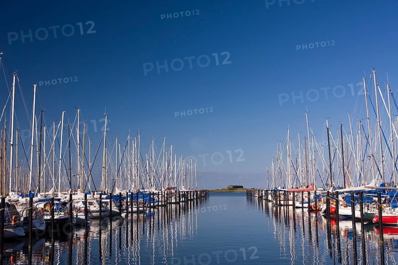 Sailboats in the marina