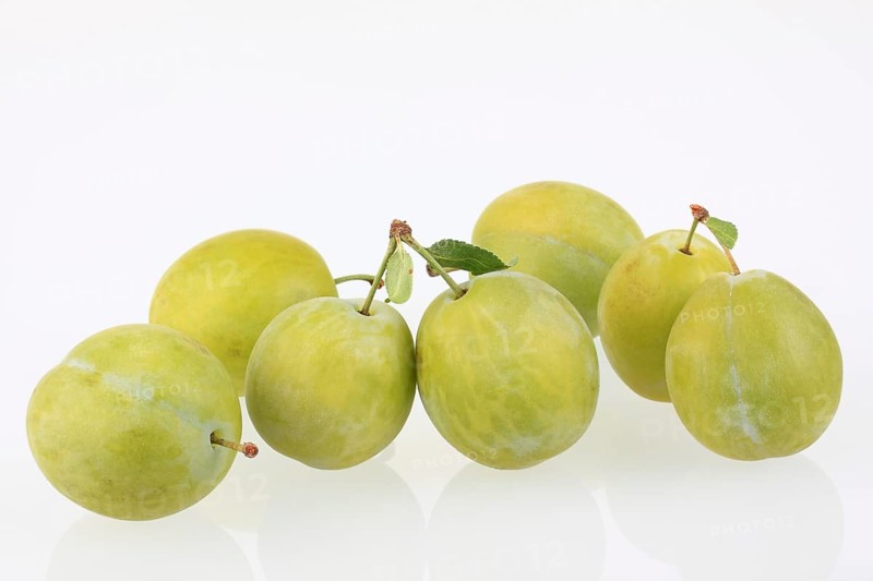 Ontario plums