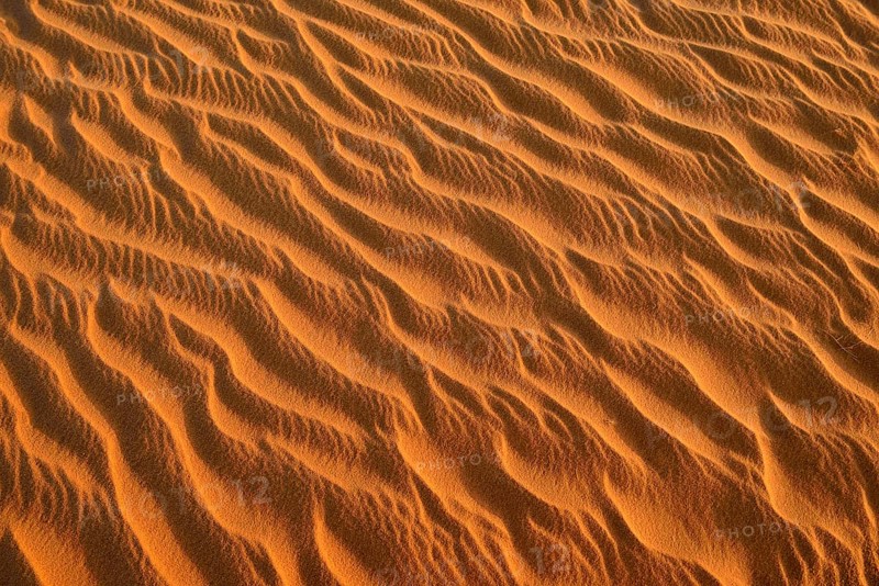 Sand ripples