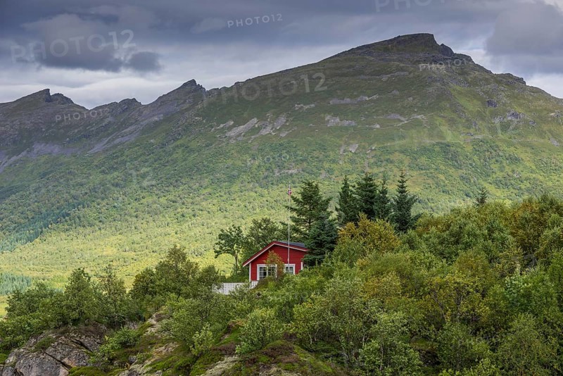 Holiday cottage with a small forest near Eidsfjord