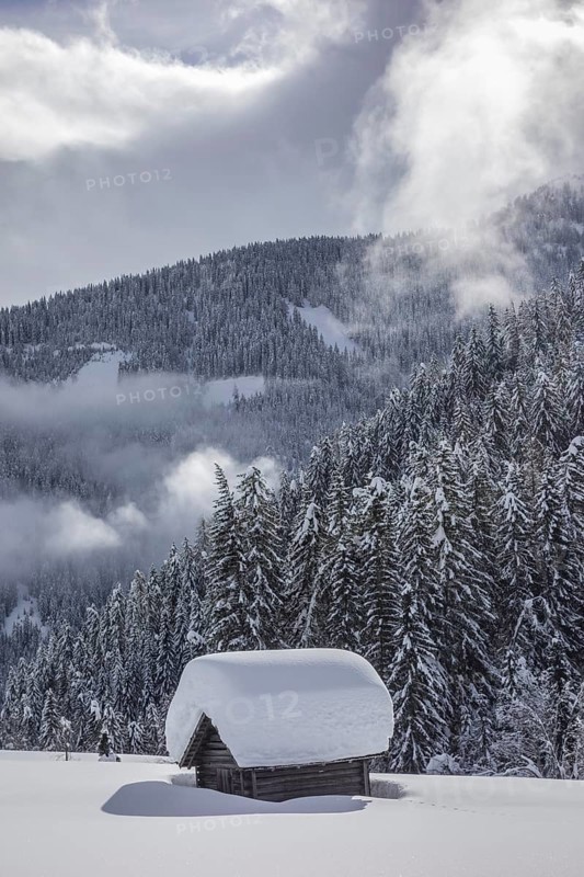 Wooden hut covered with a lot of snow