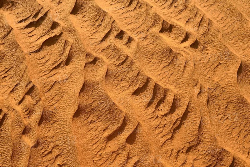 Sand ripples