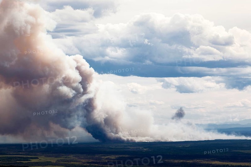 Forest fire after lightning stroke