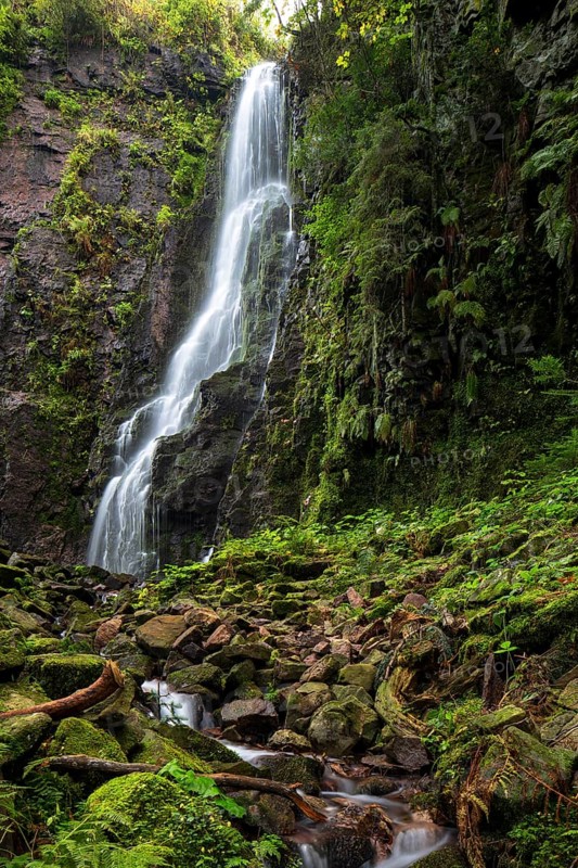 Waterfall in the forest
