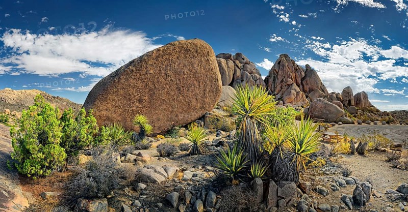 Huge granite rocks of Split Rocks and green Mojave Yucca or Spanish Dagger (Yucca schidigera)