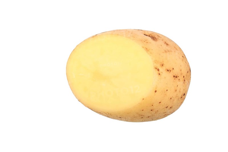 Potato