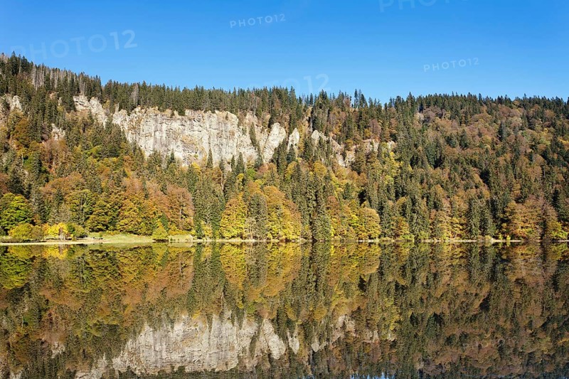 Lake Feldsee and Feldberg mountain