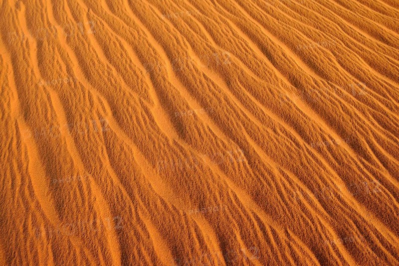 Sand ripples