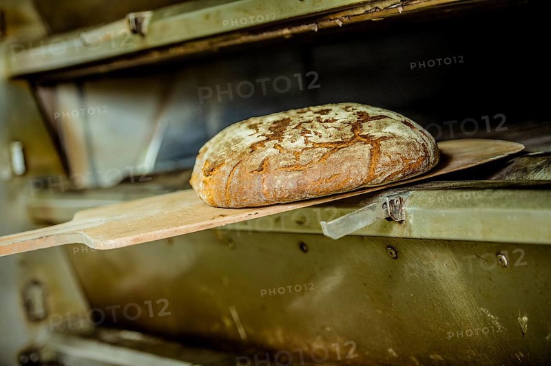 Bread