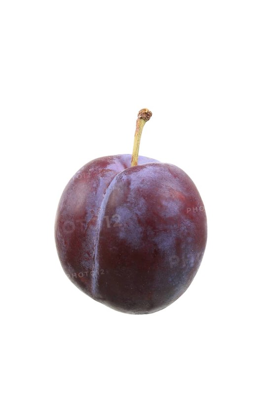 Plum