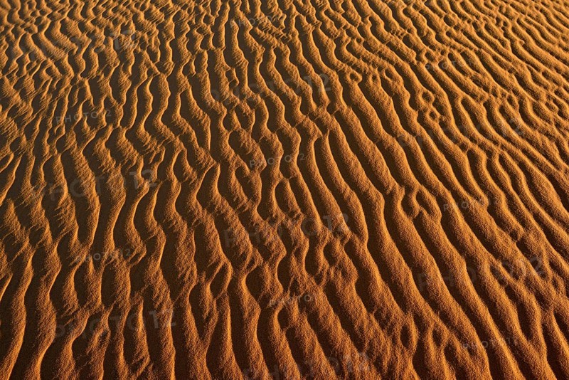 Sand ripples