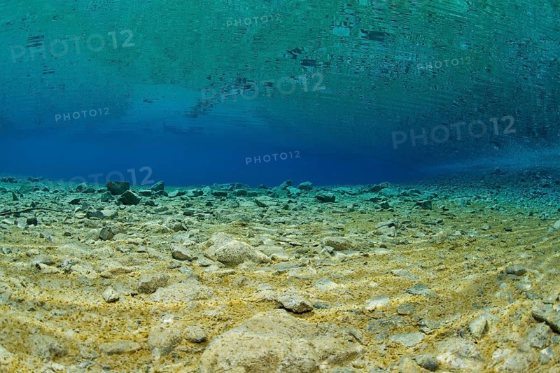 Underwater view