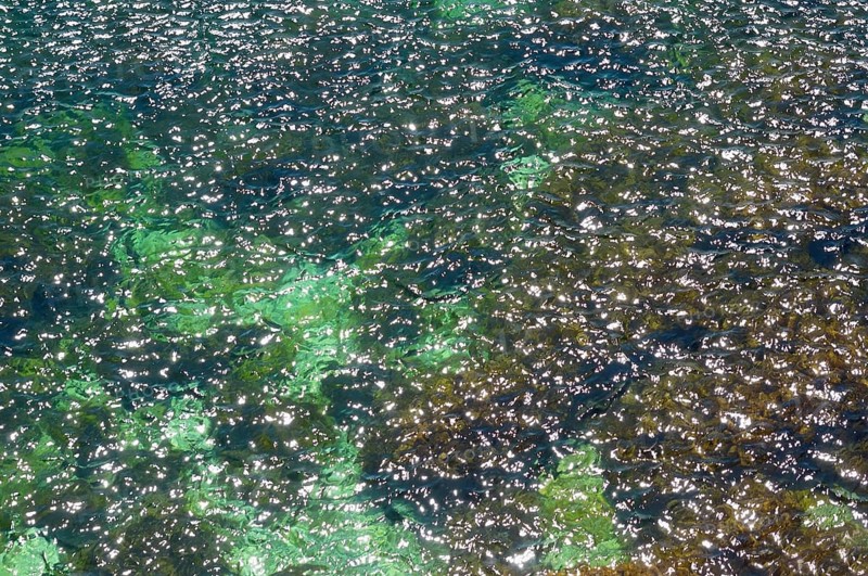 Reflections on water