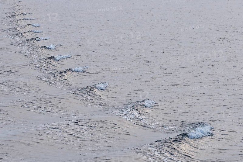 Bow waves