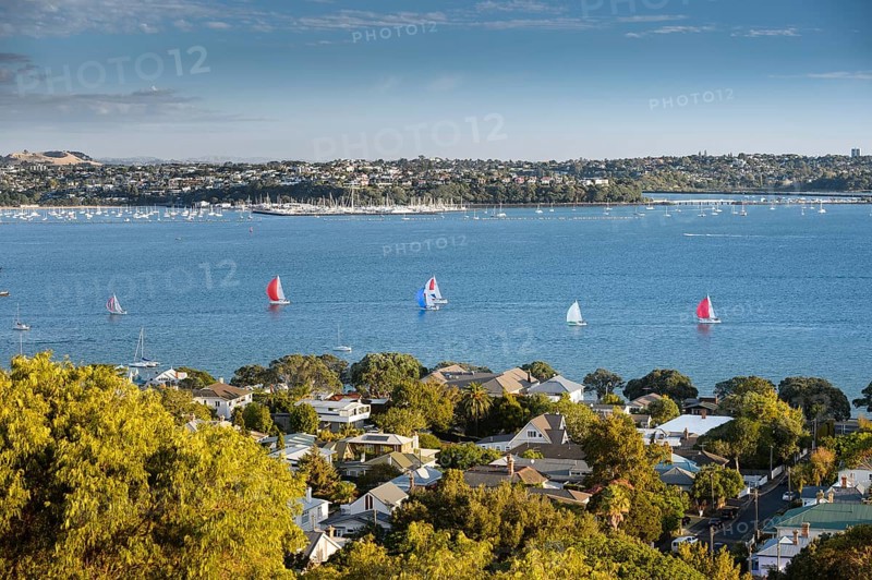 Sailing boats at Waitemata Harbour