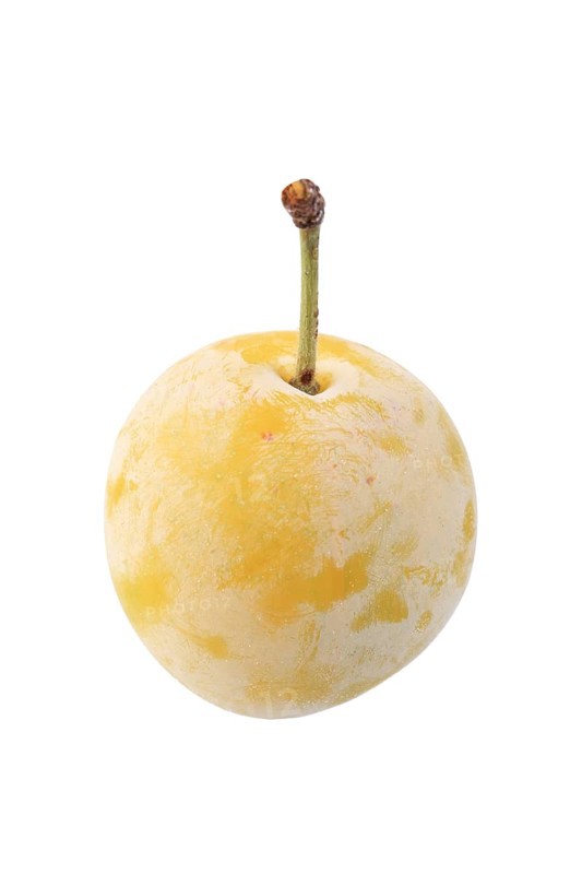 Mirabelle of Nancy