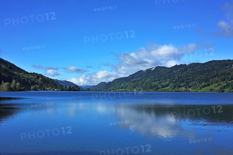 Alpsee lake