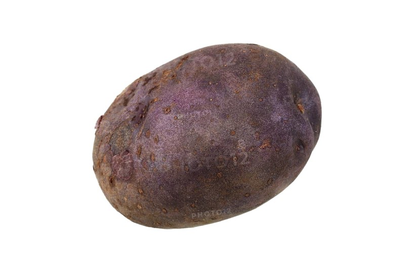 Potato